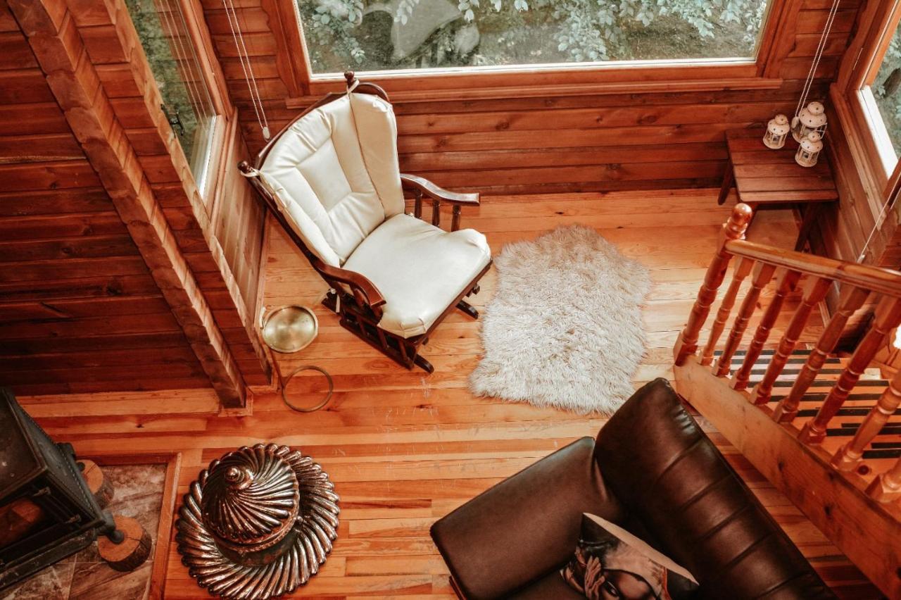 Abant Korudam Bungalov Butik Otel Exterior foto