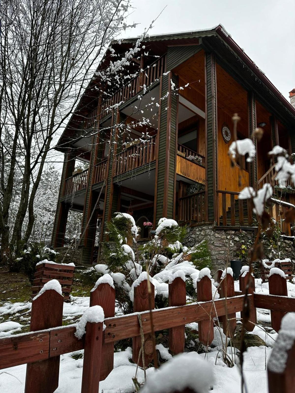 Abant Korudam Bungalov Butik Otel Exterior foto